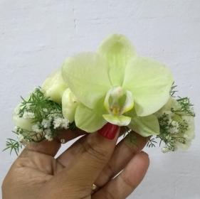 imagem de Aplique de Orquídea, Egípcio e Begônia.