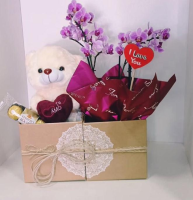 imagem de Box com Pelúcia uma mini Orquídea é um Ferrero