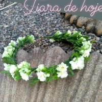 imagem de Tiara de Kalanchoe e Tuia.